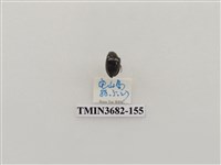 藏品(鞘翅目(2))的圖片